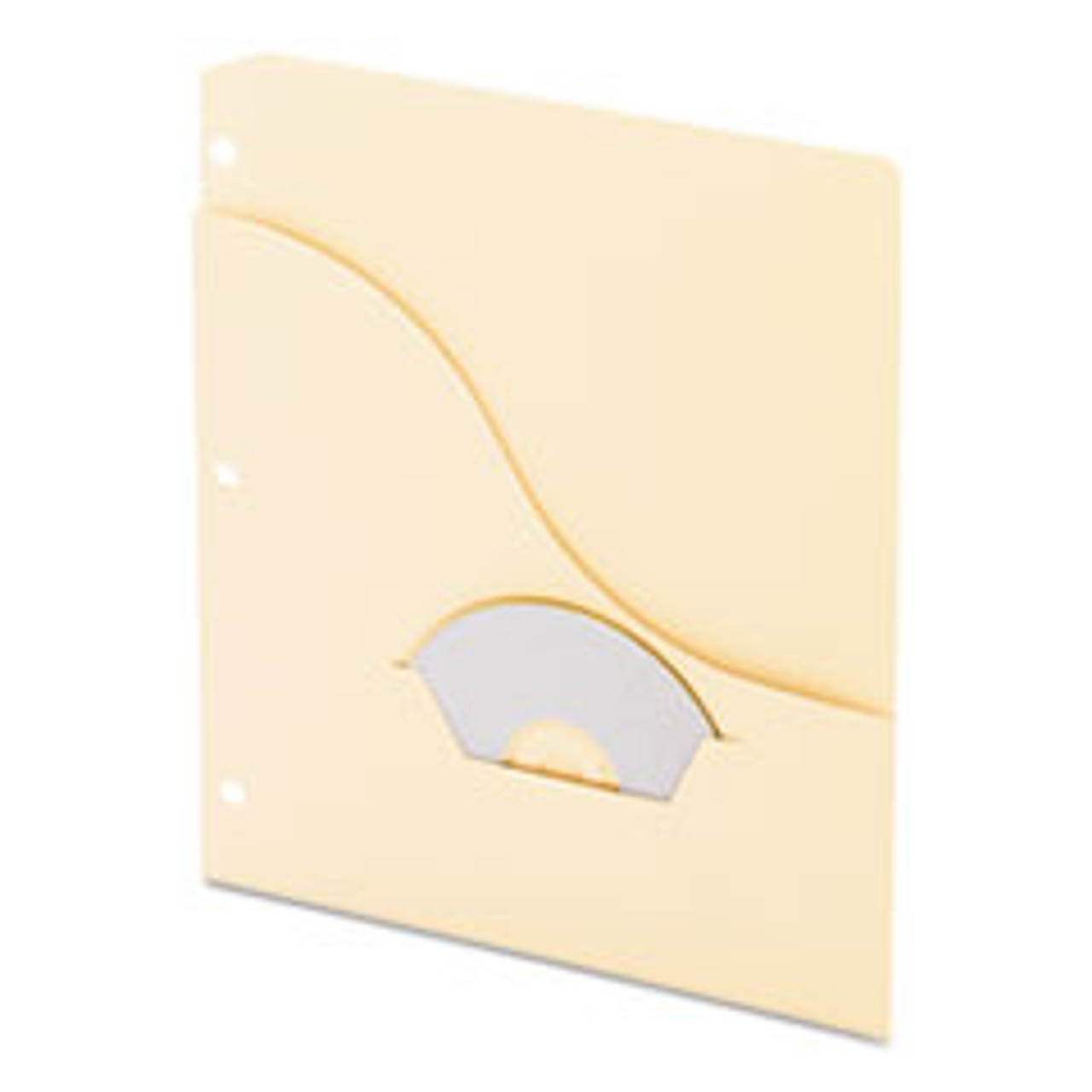 ESSELTE PENDAFLEX CORP. 31870 POCKET PROJECT FOLDERS,3 HOLES,LETTER