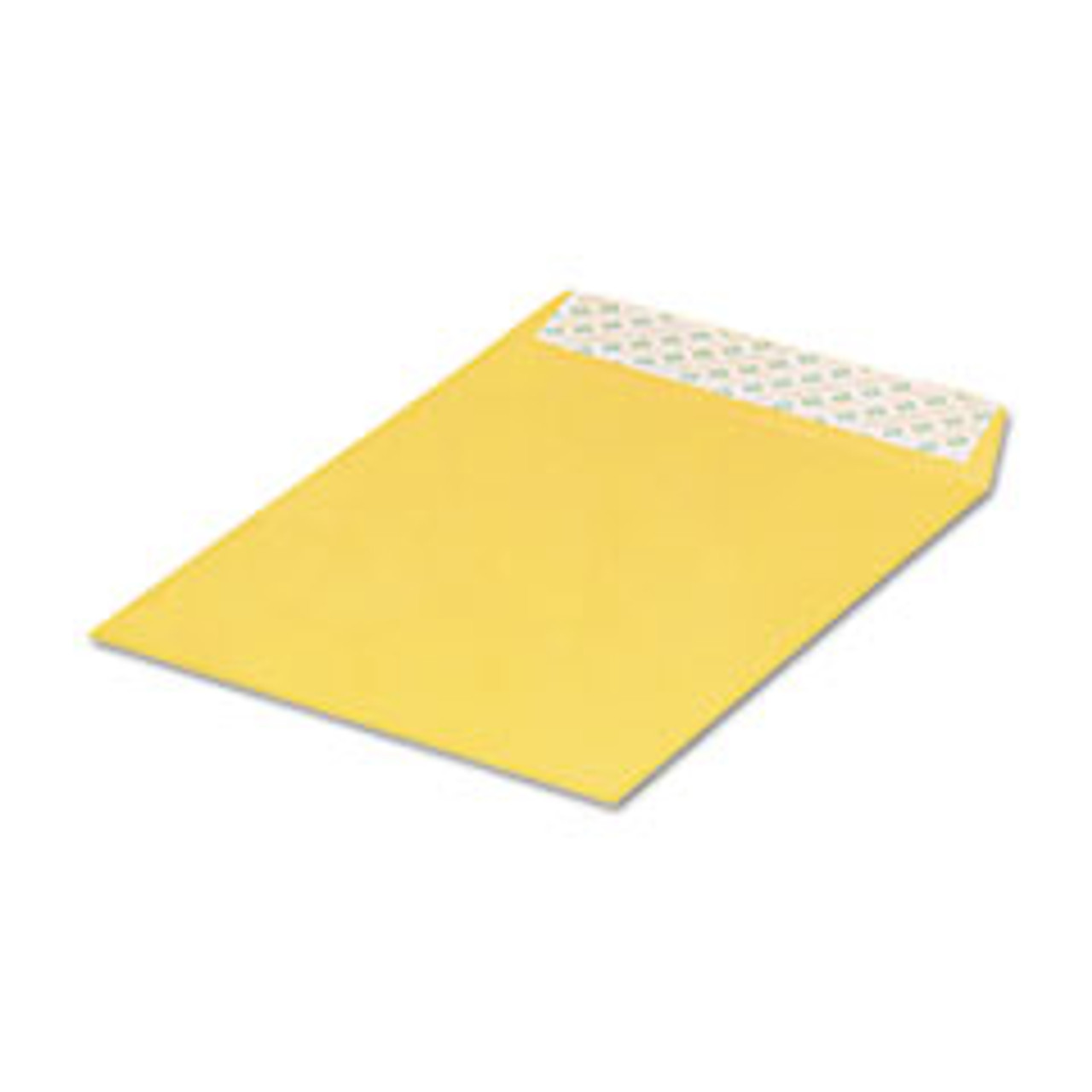 QUALITY PARK 44762 CATALOG ENVELOPE,28LB,BROWN KRA',100/BOX
