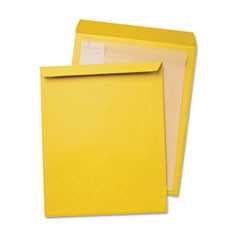 QUALITY PARK 42353 KRAFT ENVELOPE,BROWN KRA',25/PACK