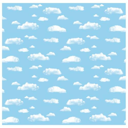 PACON CORPORATION 56465 BULLETIN BOARD PAPER,50 FTX48"