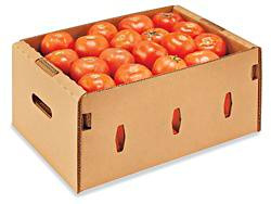 USC S-20444S TOMATO BOX SKID LOT - 25 LB