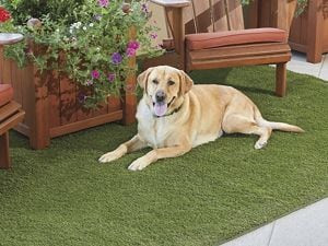 USC H-7950 ARTIFICIAL GRASS MAT - 7 X 10'