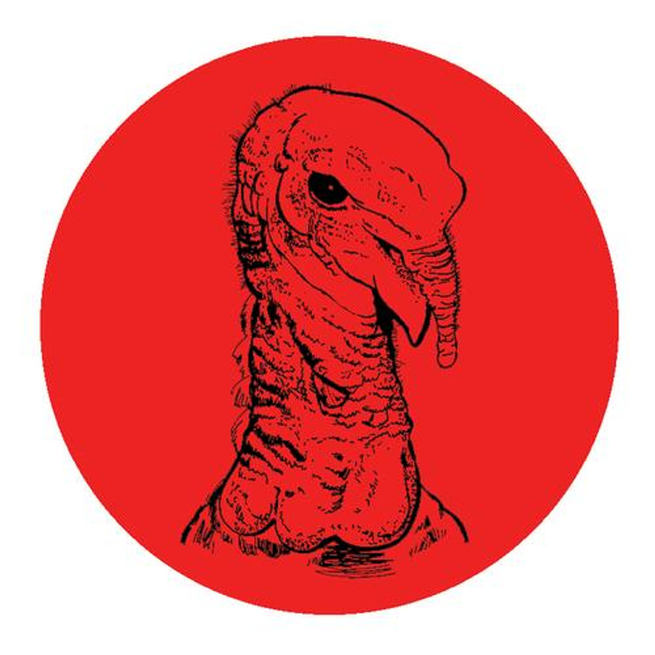 TARG-DOTS 4026650 6" TURKEY TARGET (10 PER PACK)