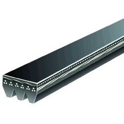 NAPA BELTS & HOSES 25030243 V-RIBBED BELT