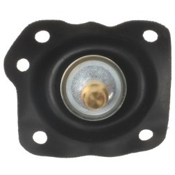 ECHLIN 24218 DIAPHRAGM