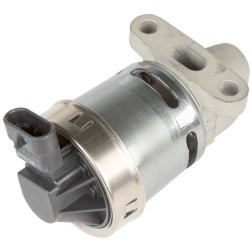 DELPHI EG10172 EGR VALVE