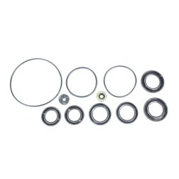 NAPA SMALL ENGINE 188380 LOWER UNIT SEAL KIT