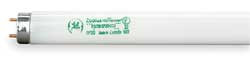 GE LIGHTING F32T8/25W/SPX41/ECO FLUORESCENT LINEAR LAMP T8 COOL 4100K