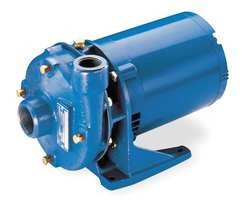 GOULDS WATER TECHNOLOGY 1BF10312 PUMP,1/3 HP,1 PH,120/240VAC