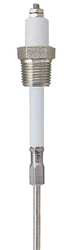 LUMENITE CONTROL TECHNOLOGY, INC. PHST34Q12"UN LIQUID LEVEL PROBE 12 IN 3/4 NPT