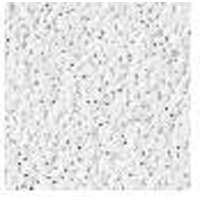 USG INTERIORS 821004 5/8 ALPINE CEILING PANEL 2X2