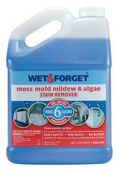 WET AND FORGET, INC. 800006 REMOVER MOLD/MLDW STAIN 1 GAL
