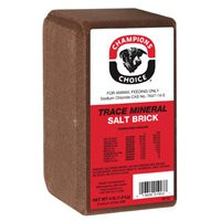 CARGILL 110004997 TRACE MINERAL SALT BRICK 4LB