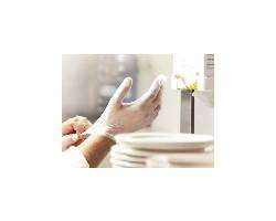 FOODHANDLER INC 102-1SF-218 GLOVE UTILITY PF VINYL ONESAFE XL