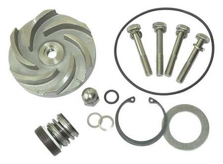 DAYTON 21TG93 PUMP REPAIR KIT FOR 2ZWZ3A