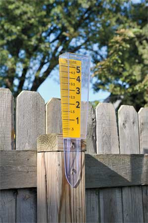 TAYLOR BRANDS 2702-35 RAIN GAUGE 0 TO 5 IN. POLYCARBONATE