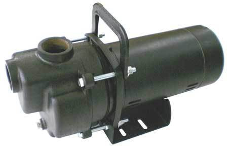 DAYTON 4YKP5 TRANSFER PUMP 1/3 HP CAST IRON