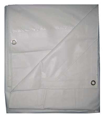 GRAINGER GLOBAL SOURCING 5WTW6 TARP FIRE RETARTDANT VINYL 8X10FT
