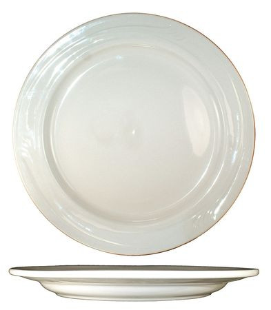 ITI NP-9 PLATE 9-5/8 DIA AMERICAN WHITE PK24