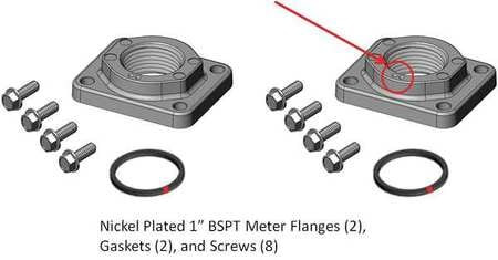 FILL-RITE KIT900PF1B METER/FLANGE KIT 1 IN BSPT NICKEL