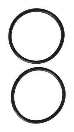 DAYTON PP60073G O-RING VITON PK2