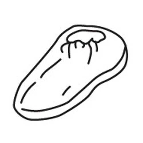 WEST CHESTER 3763 PE  SBP  SHOE COVER