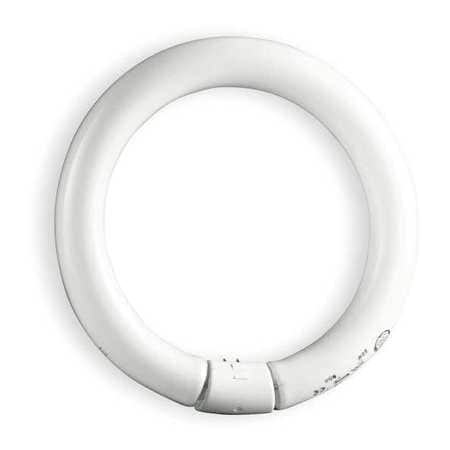 GE LIGHTING FC8T9/CW CIRCULAR FLUORESCENT LAMP T9 4100K 8 IN