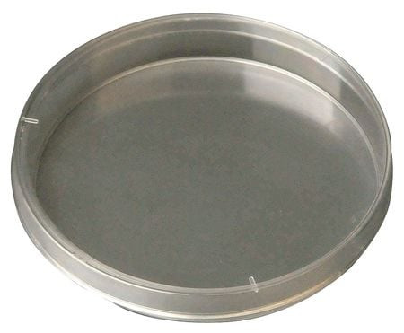 LAB SAFETY SUPPLY 49X570 PETRI DISH,60X15MM,POLYSTYRENE,PK500