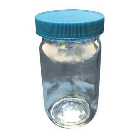 LAB SAFETY SUPPLY 52KA40 SAFETY COATED BOTTLE 250ML GLS WIDE PK24