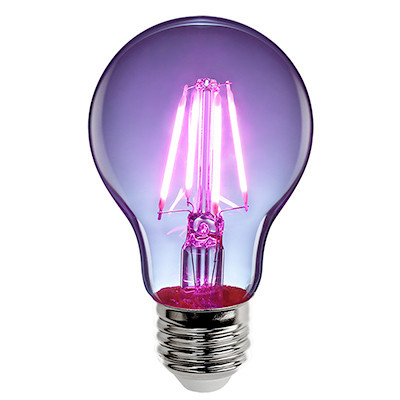 FEIT ELECTRIC A19/TP/LED LED TRNSPT A19 PURP
