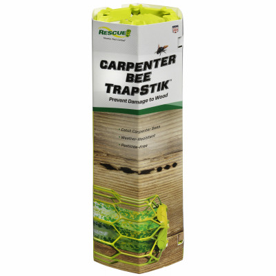 STERLING CBTS-BB6 CARPENTER BEE TRAPSTIK