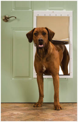 RADIO SYSTEMS CORP PPA00-10961 PET DOOR, WHITE PLASTIC, XL