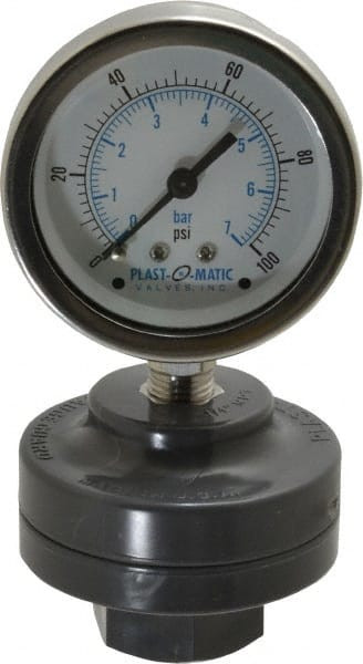 PLAST-O-MATIC GGVS100-PV SIPHONS,SNUBBERS,NEEDLE VALVES