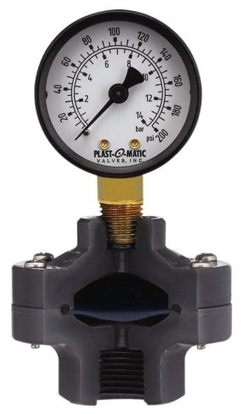 PLAST-O-MATIC GGVS160-PV SIPHONS,SNUBBERS,NEEDLE VALVES