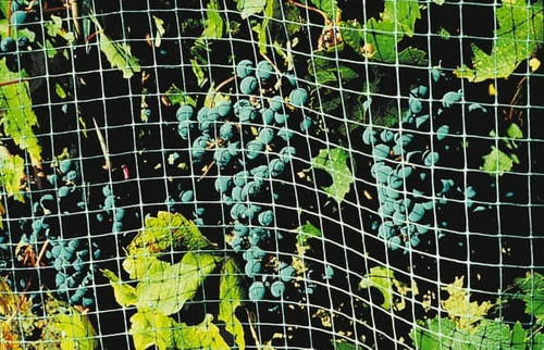 BIRD-X NET-STR-200 MSC ANIMAL TRAPS