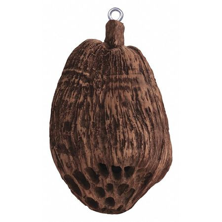 ROCKUSTICS COCONUTZ SPEAKER BROWN 75 MAX WATTAGE