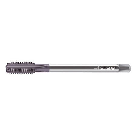 WALTER PROTOTYP K2036407-M20 STRAIGHT FLUTE TAP M20X2.5 HSS