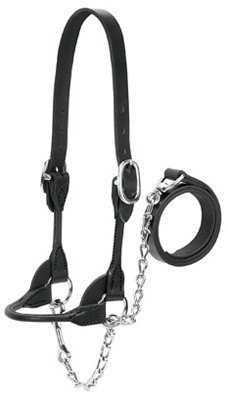 WEAVER LEATHER LLC 90-0501 CATTLE SHOW HALTER, BLACK BRIDLE LEATHER