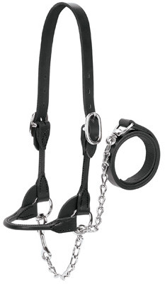 WEAVER LEATHER LLC 90-0520 CATTLE SHOW HALTER, BLACK BRIDLE LEATHER
