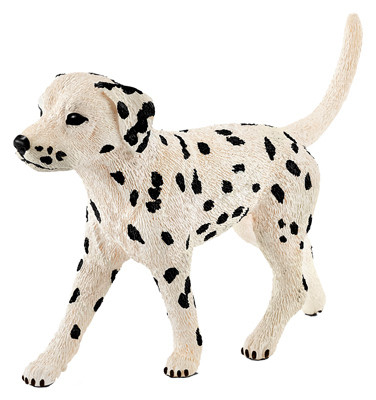 SPECTRUM GROUP 16838 BETTAMIN TROPICAL MEDLEY FISH FOOD, .81-