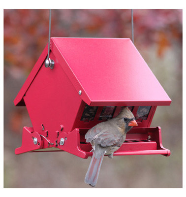 WOODLINK 23804 ABSOLUTE II SQUIRREL-PROOF HOPPER BIRD F