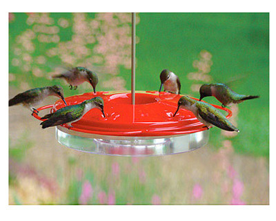 WOODLINK 24114 CLASSIC HUMMINGBIRD FEEDER, 12-OZ.