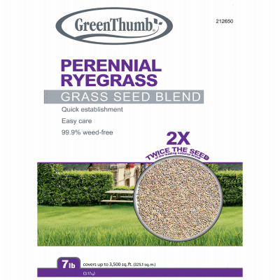 BARENBRUG USA GVPRG7 PERENNIAL RYEGRASS SEED MIX, 7-LBS., COV