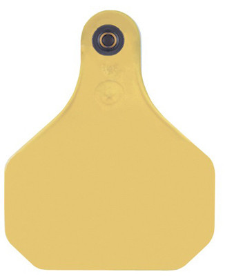 ANIMAL HEALTH INTERNATIONAL 15971253 XP820 INSECTICIDE TAG, 20-PK.