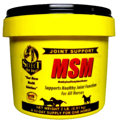 ANIMAL HEALTH INTERNATIONAL 17498851 MSM HORSE SUPPLEMENT, 2-LBS.