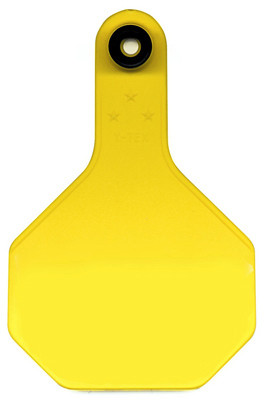 ANIMAL HEALTH INTERNATIONAL 18155505 ALL AMERICAN LIVESTOCK TAG, BLANK, MEDIU