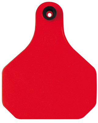 ANIMAL HEALTH INTERNATIONAL 12228547 GARDSTAR PLUS INSECTICIDE TAG, 25-CT.