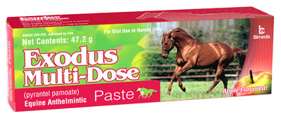 ANIMAL HEALTH INTERNATIONAL 12322354 HORSE DEWORMER, MULTI-DOSE, APPLE-FLAVOR