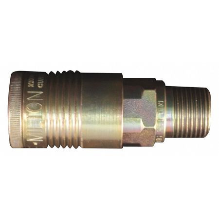 MILTON S-1816 G STYLE COUPLER,1/2" MNPT