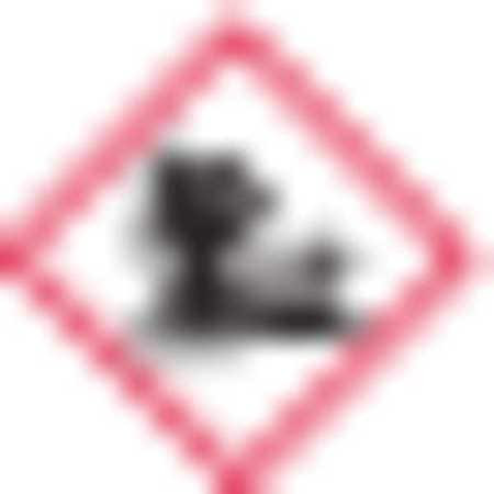 LABELMASTER MLGHIS8 GHS ENVIRONMENT MINI LABELS PK500